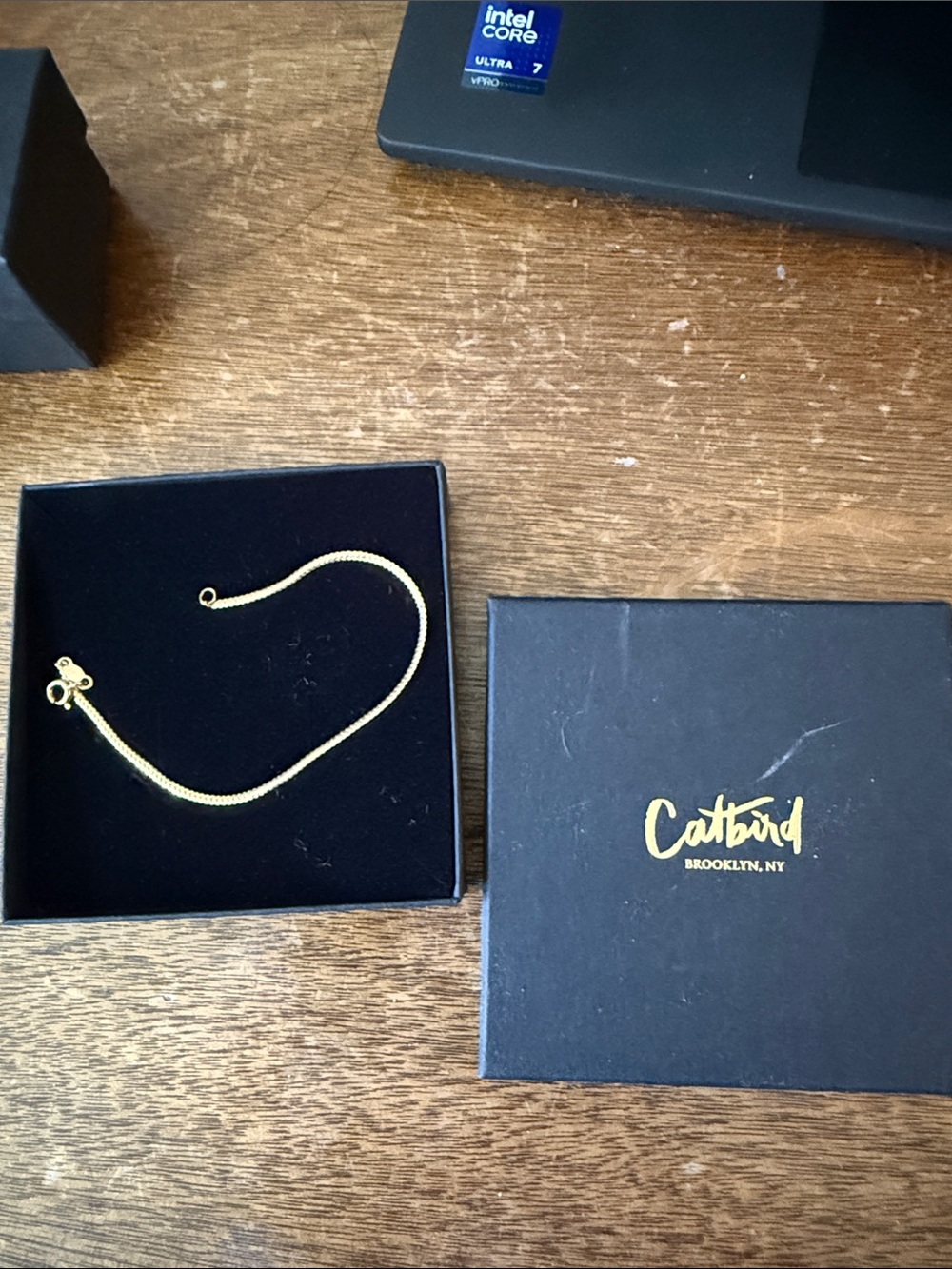 Catbird Gold Swimming Pool Bracelet 6.5"